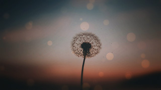 Hello Tomorrow